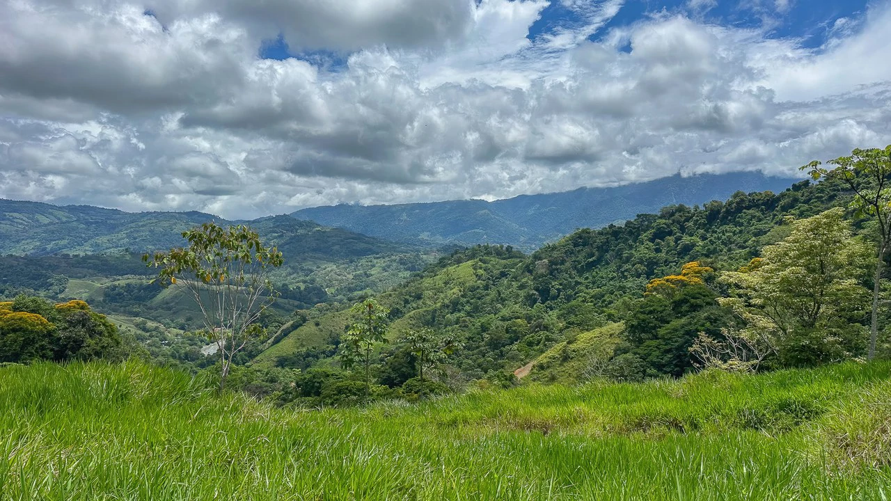 60+ Hectares in Platanillo | Own Your Own Mountain in Costa Rica - Gallery image 13