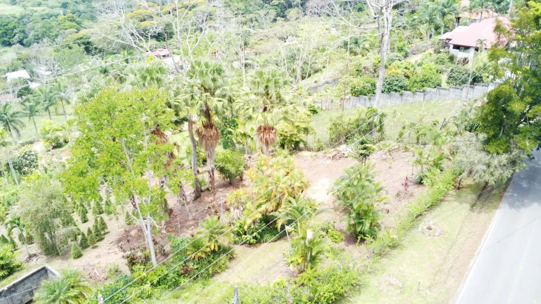 Propiedad en La Bonita Emma-137480: Mountain and Countryside Home Construction Site For Sale in San Isidro del General - Gallery image 8