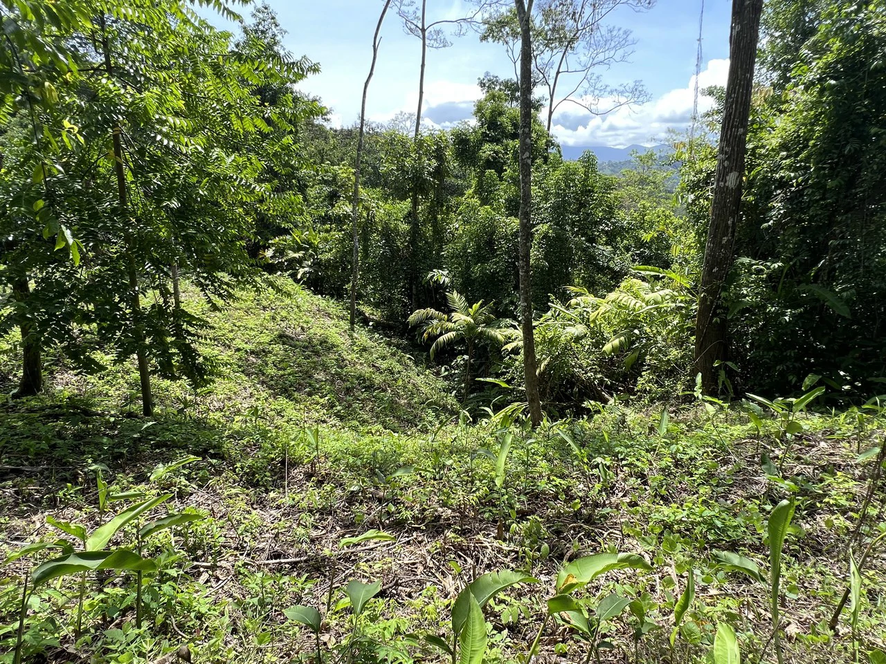 Affordable Home Building Site in Lagunas - Gallery image 11