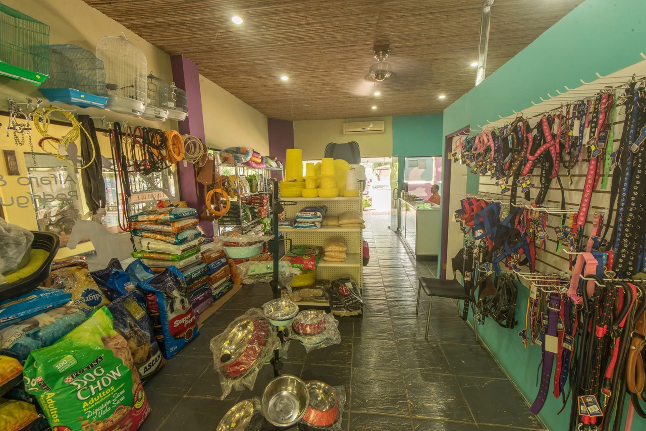 Top Money-Maker Commercial center downtown Samara, all rented,  250m from the beach - Gallery image 6
