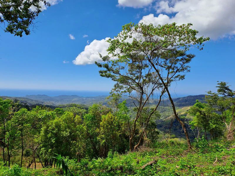 Lote Mirador # 3: Breathtaking Lot with Stunning Ocean Views, Large Building Pad, just 30 minutes from Samara Beach - Gallery image 4