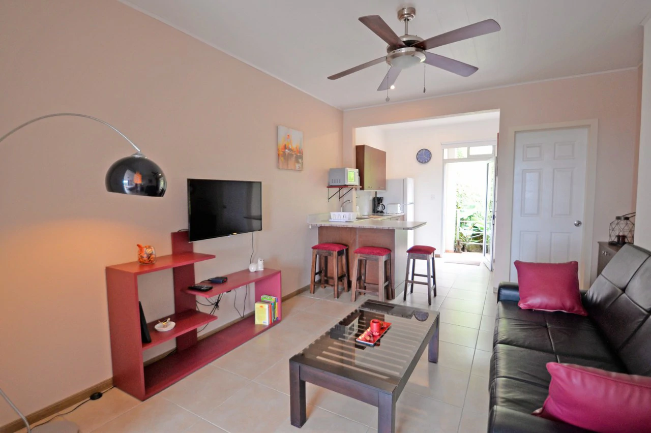 TURNKEY INVESTMENT PROPERTY IN GRECIA - Gallery image 23