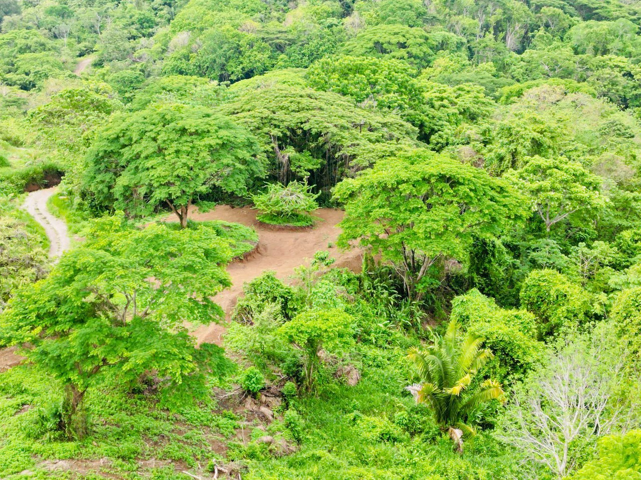 Enchanting 9,800 m² Land Surrounded by Jungle and Nature: A Peaceful Retreat Near Santa Teresa, Mal País, and Cabuya - Gallery image 5