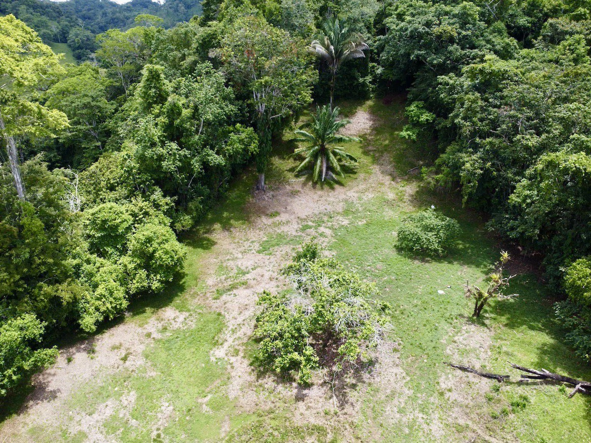 High Elevation Rainforest and Ocean View Property - Gallery image 5