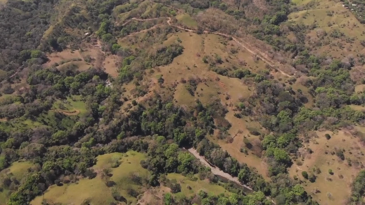 Tourism or Development?: Beautiful 56 ha with riverfront access - Gallery image 9