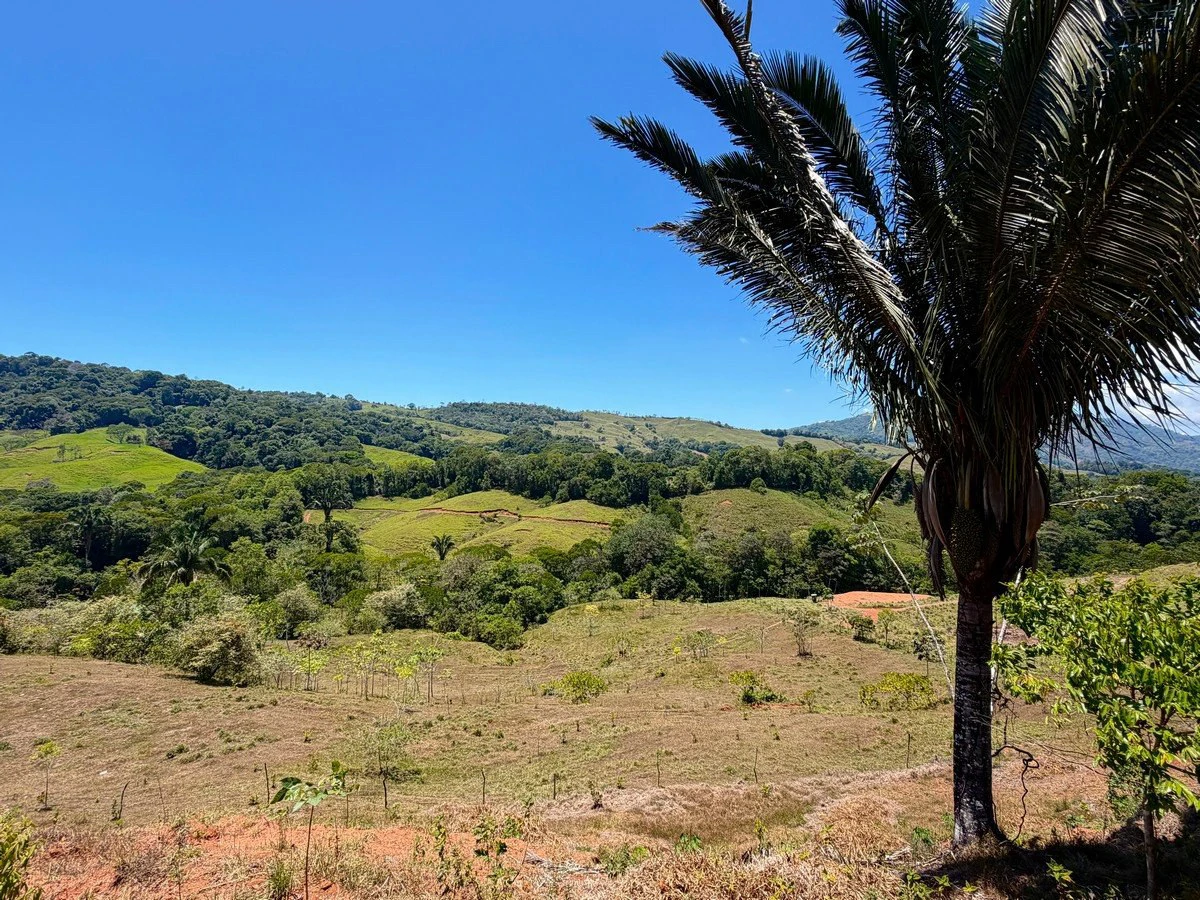 8.77 ACRES – Private Land Just 20 Min to Dominical, Beautiful Mountain Views, Legal Water, Electricity, Public Road, Private Setting, Ready to Build!!!! - Gallery image 14