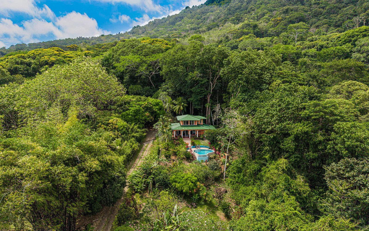 Whale's Tail Ocean View Estate with Extra Lot in Between Uvita and Dominical - Gallery image 92