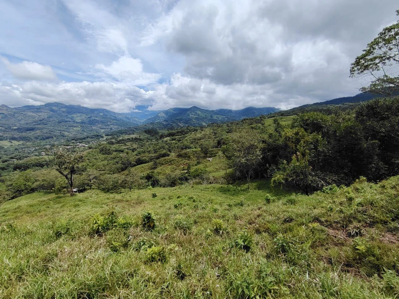 Countryside Home Construction Site For Sale in General Viejo - Gallery image 16