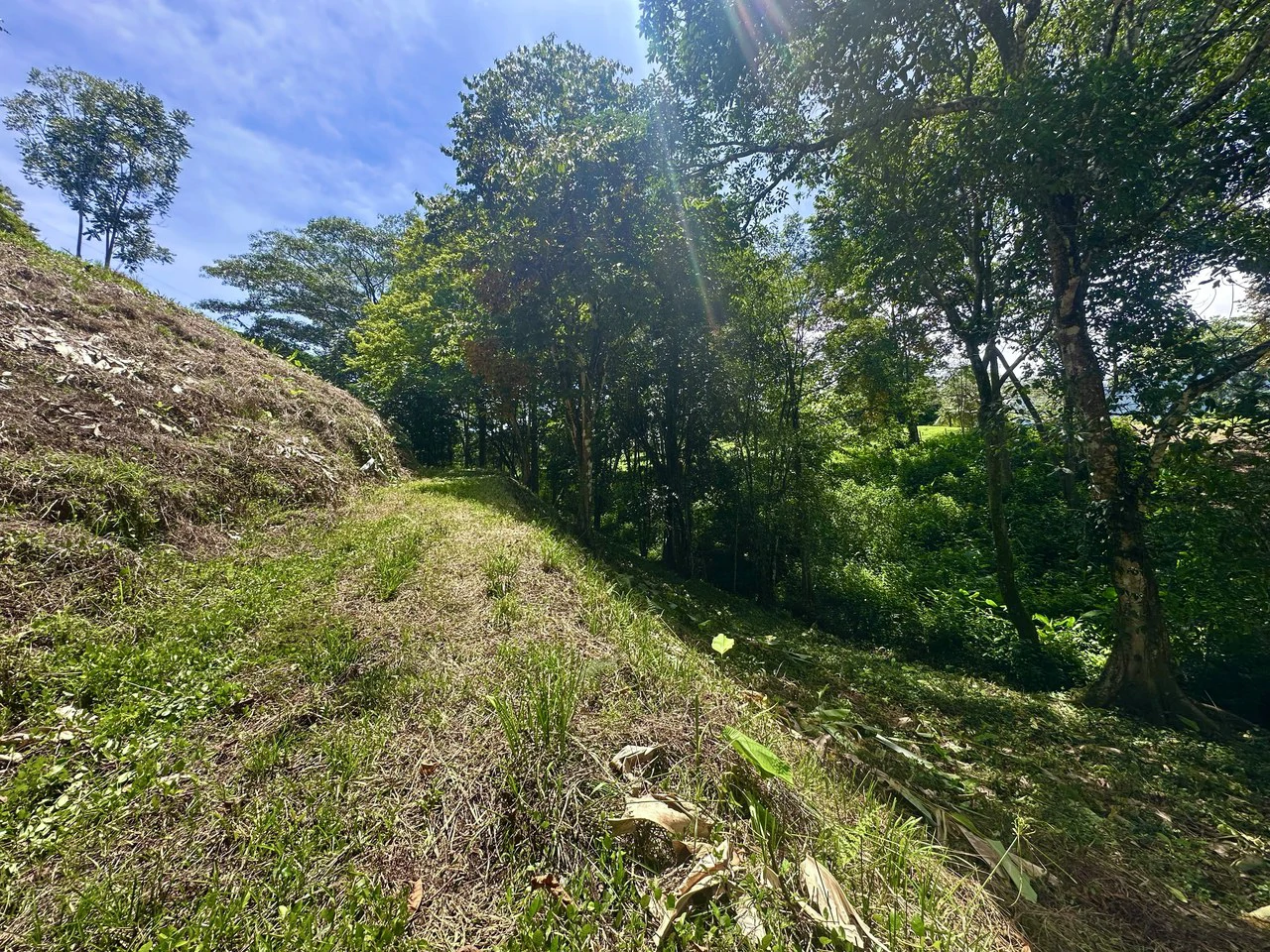 Build-Ready Lot in Ojochal’s Calle Cacique | Easy Access & Stunning Mountain Views - Gallery image 8