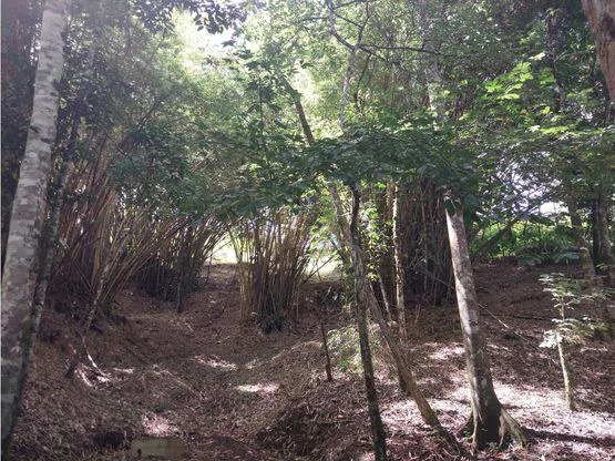 Home Construction Site For Sale in Jacó - Gallery image 13