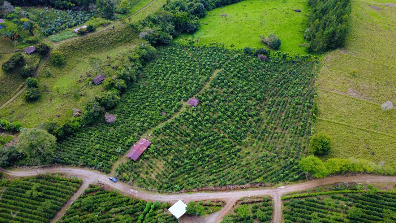 Countryside Agricultural Land For Sale in Santa Elena de San Isidro - Gallery image 4