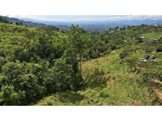 Panoramic View Lot with Tranquil Creek and Easy Access to San Isidro - Gallery image 8