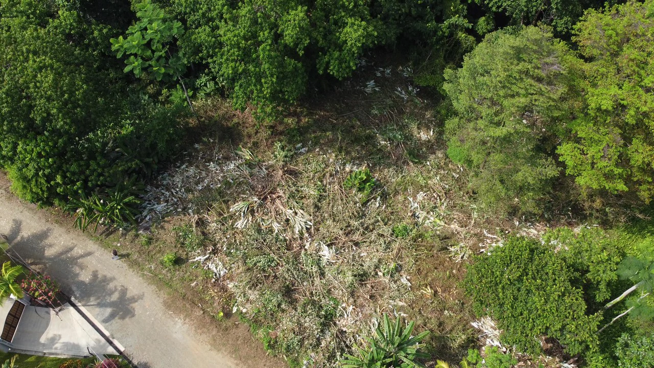 Ojochal - 1 Acre Ready To Build Jungle Lot, Ocean Breezes in Wildlife Corridore - Gallery image 2