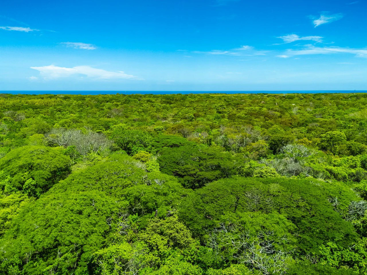 Finca 46Ha: Private Sanctuary with River and Forest - Gallery image 17