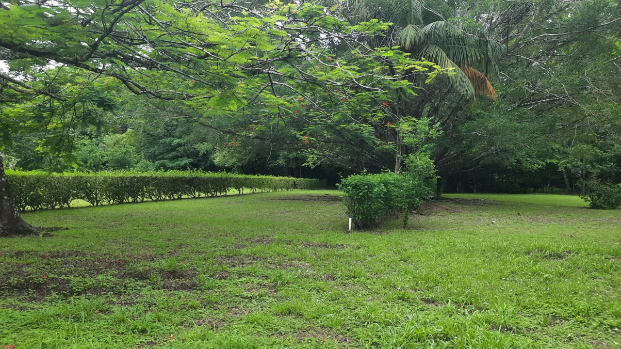 Agricultural Land For Sale in Jacó - Gallery image 6