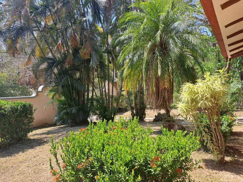 Casa Colonial: All the Charm of a 250 m2 Tropical Hacienda Ideally Located - Unique Opportunity! - Gallery image 23