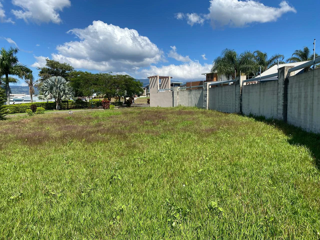 LARGE LOT FOR SALE, ALAJUELA, GREECE - Gallery image 6