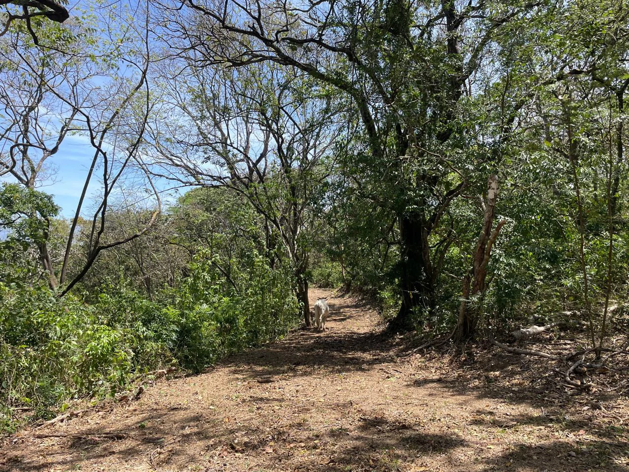Ocean view property for sale Rodeo Ciudad Colon San Jose Costa Rica - Gallery image 8