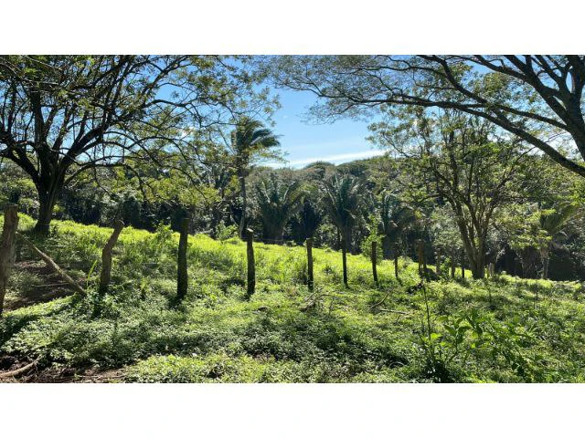 Nature Paradise Farm for sale in the mountains of Quebrada Grande, Building potential property 30 minutes away from Liberia - Gallery image 32