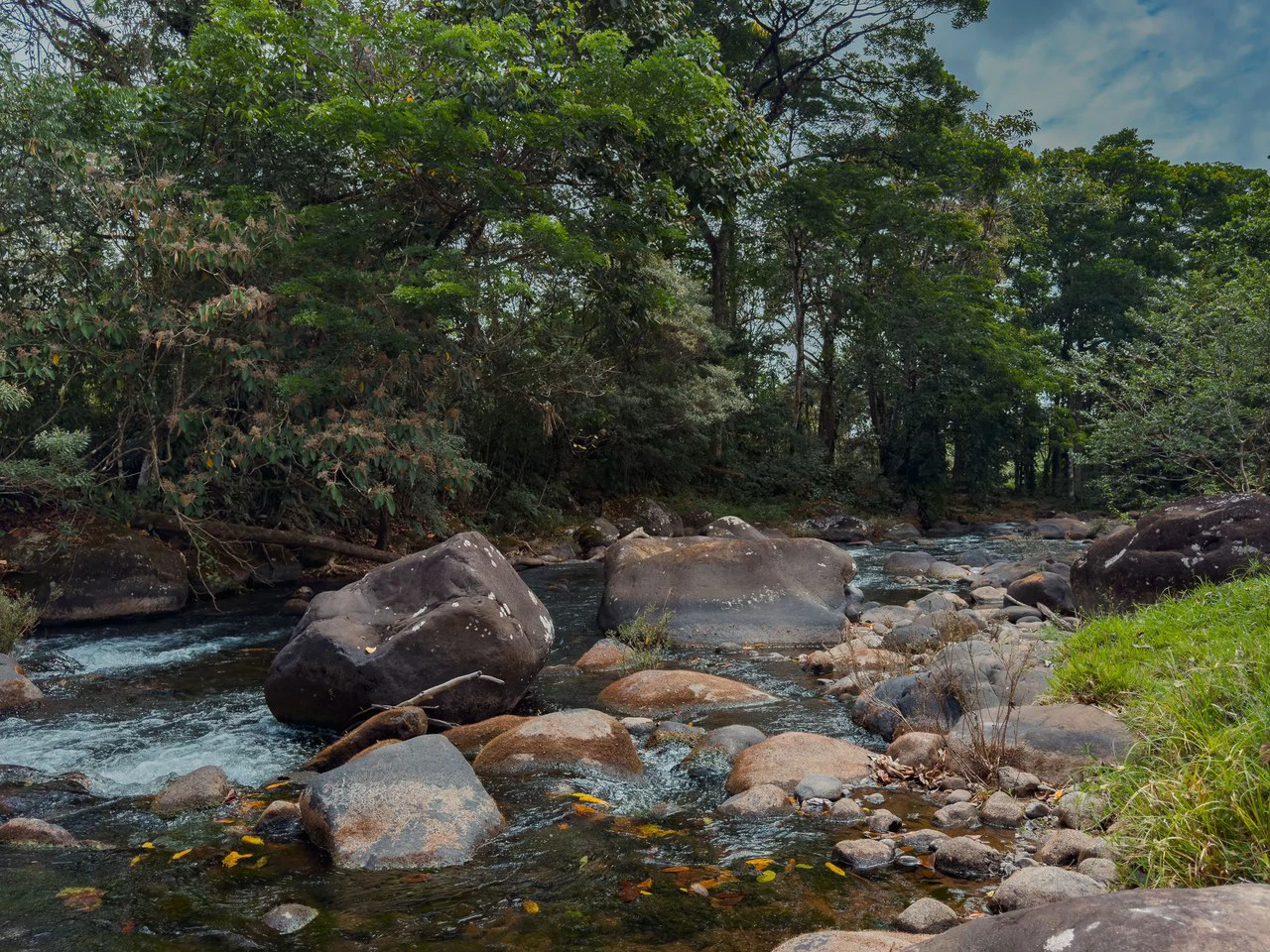 Finca Abuelo: Riverfront, Mountain and Countryside Agricultural Land For Sale in Aguas Claras - photo 4