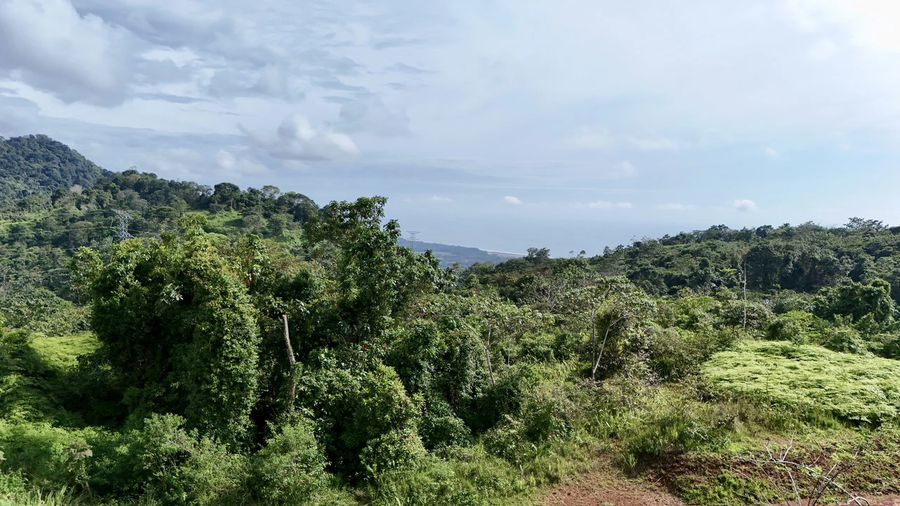 Off-Grid Ocean View Lot | 1.7 Acres in Las Nubes Matapalo Hills - Gallery image 14