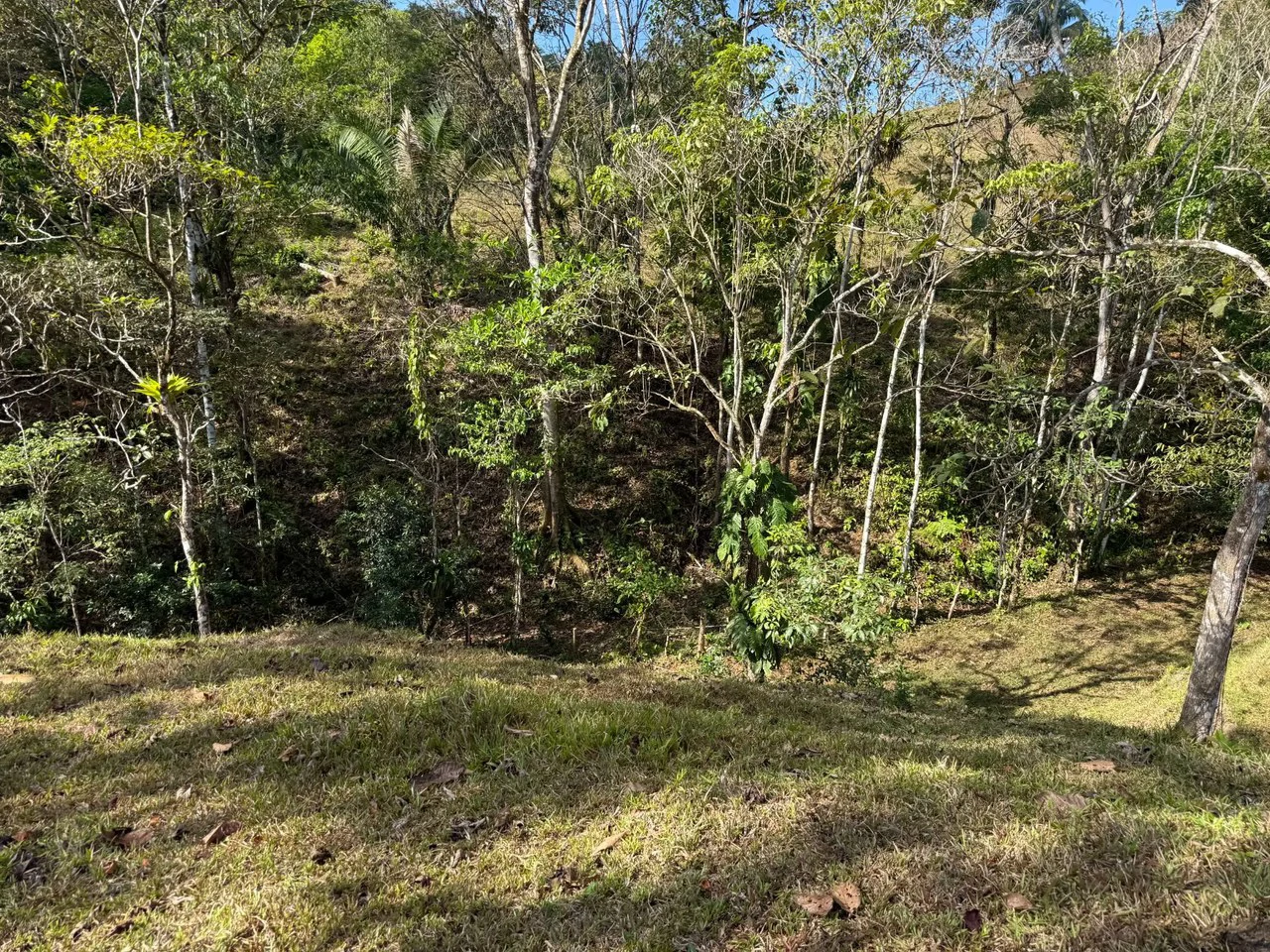 11.4 Hectare Mountain Estate: Lush Forest, River & Farm Potential in Arenal Puriscal , San Jose - Gallery image 27