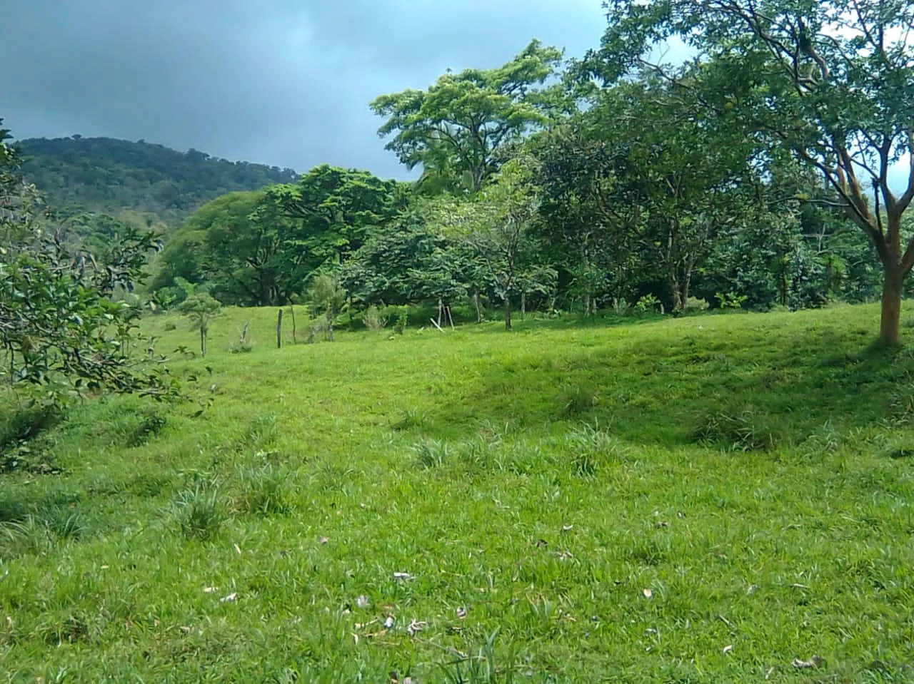 Cattle farm for sale in Aguas Claras with 1 corral and enchanting views - Gallery image 16