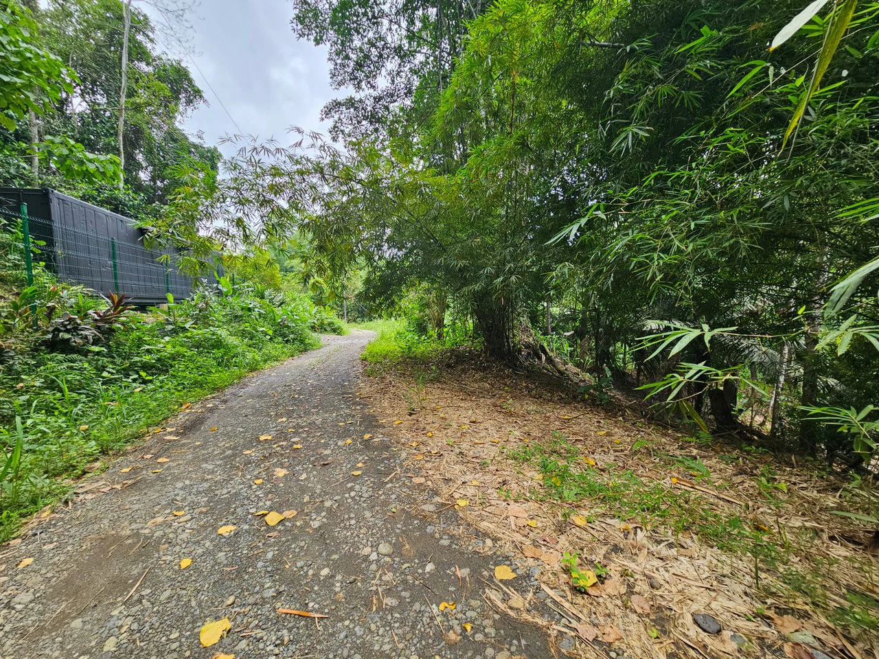 1800 sqm Lot in Cocles, Outside of Reserve: Jungle Living at it’s Finest in Colces, Outside of the Reserve. - Gallery image 5