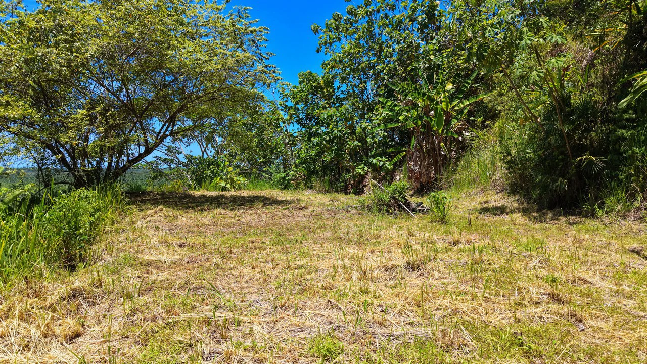 Near the Coast Home Construction Site For Sale in Ciudad Cortés - Gallery image 17