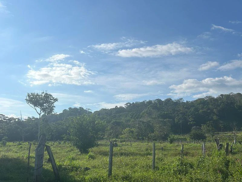 Your Sanctuary by Rio Tigre and Gallardo - Gallery image 7