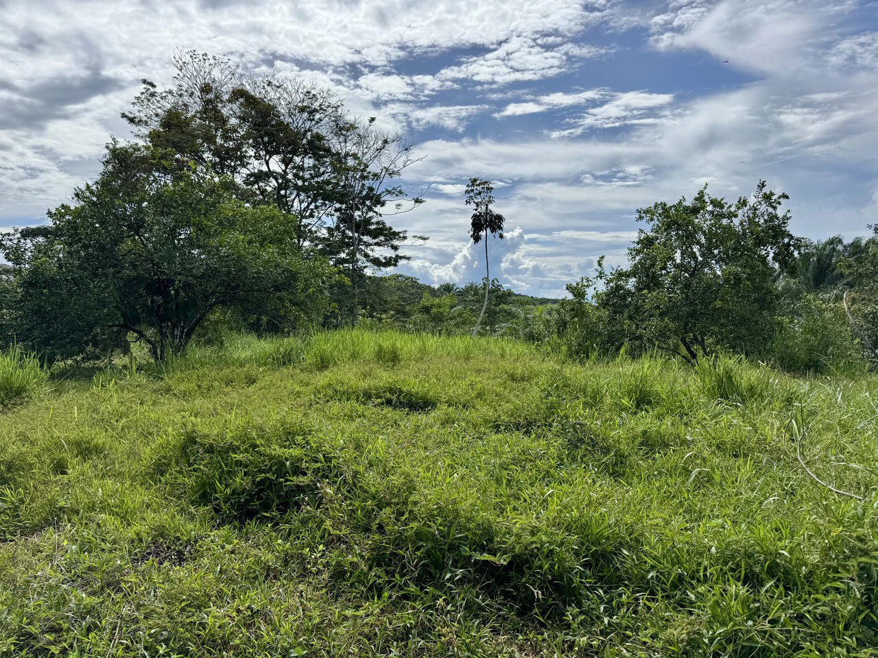 1.45 ACRES – Ocean View Property With Creek And Public Road Frontage, 12 Min To Beach And Surf!!! - Gallery image 4
