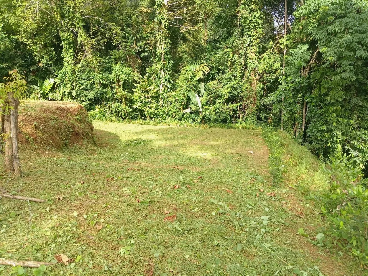 0.46 ACRES – Ocean View Land Just 4 Minutes Away From El Pavon Waterfall, Legal Water And Electricity Available & Ready To Build Site!!!: Mountain and Countryside Home Construction Site For Sale in Tr - Gallery image 9