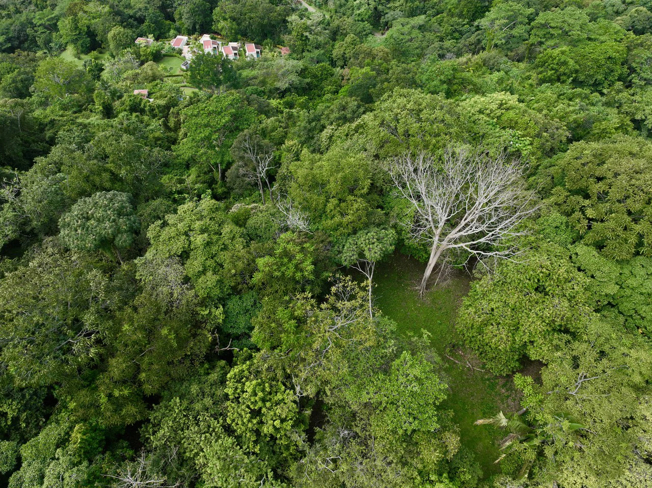 TROPICAL MASTERPIECE – 61.78 ACRES OF OCEANVIEW BLISS WITH WATERFALL: Mountain Development Parcel For Sale in Tres Rios - Gallery image 16