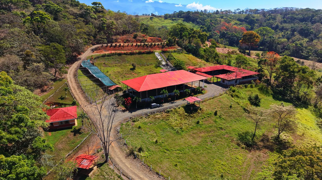 Agricultural Land For Sale in Daniel Flores - Gallery image 33
