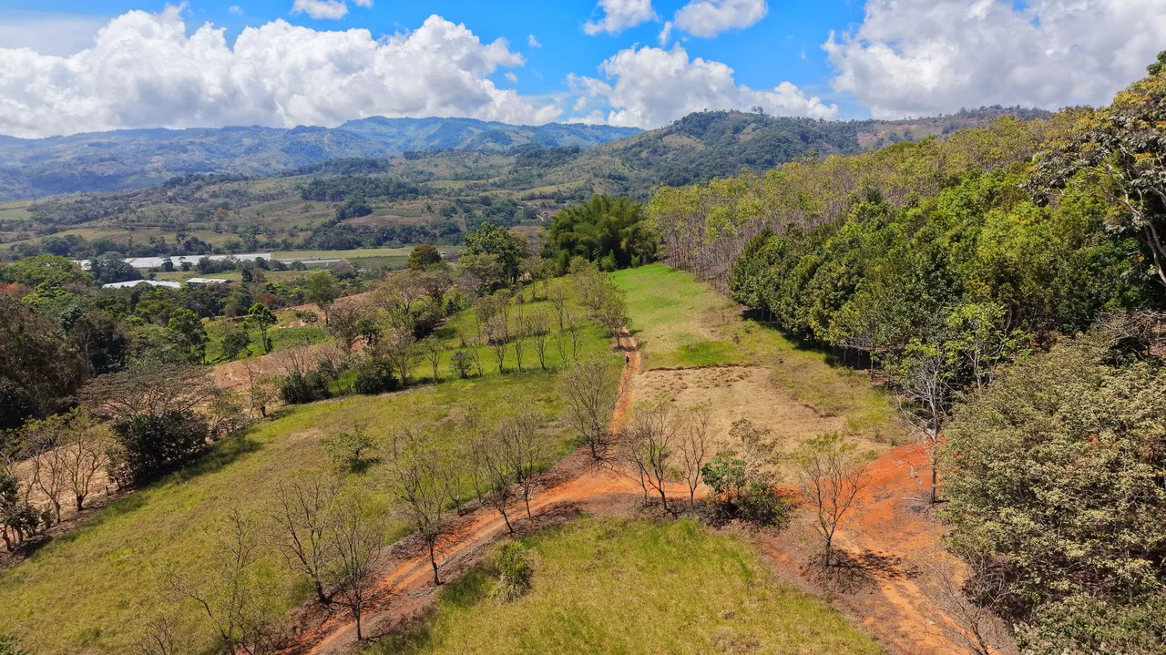 Agricultural Land For Sale in Daniel Flores - Gallery image 12