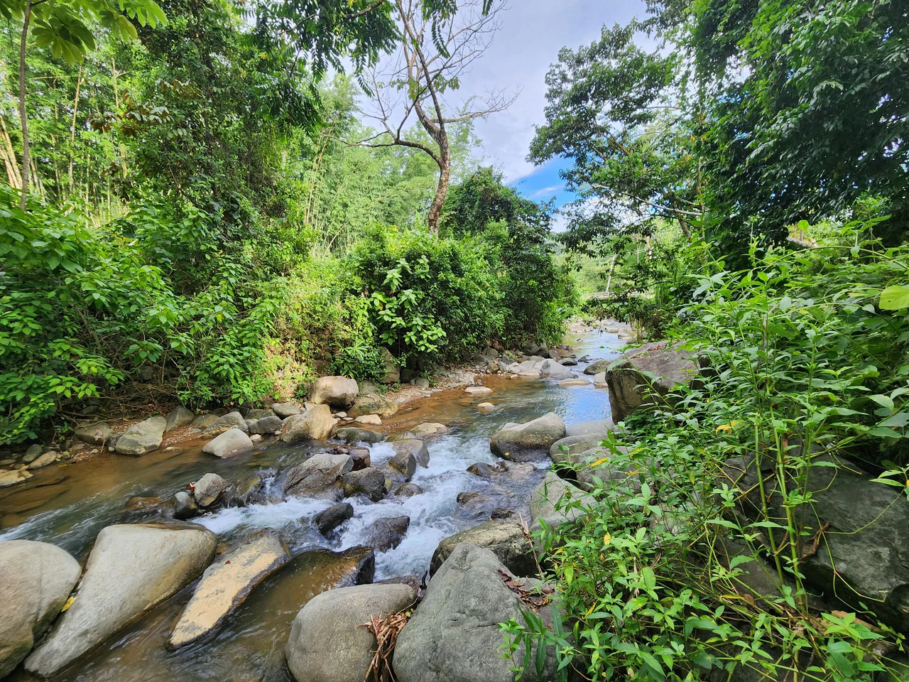 FOR SALE IN UVITA HOUSE WITH STUDIO APARTMENT AND RIVER ACCESS - Gallery image 26