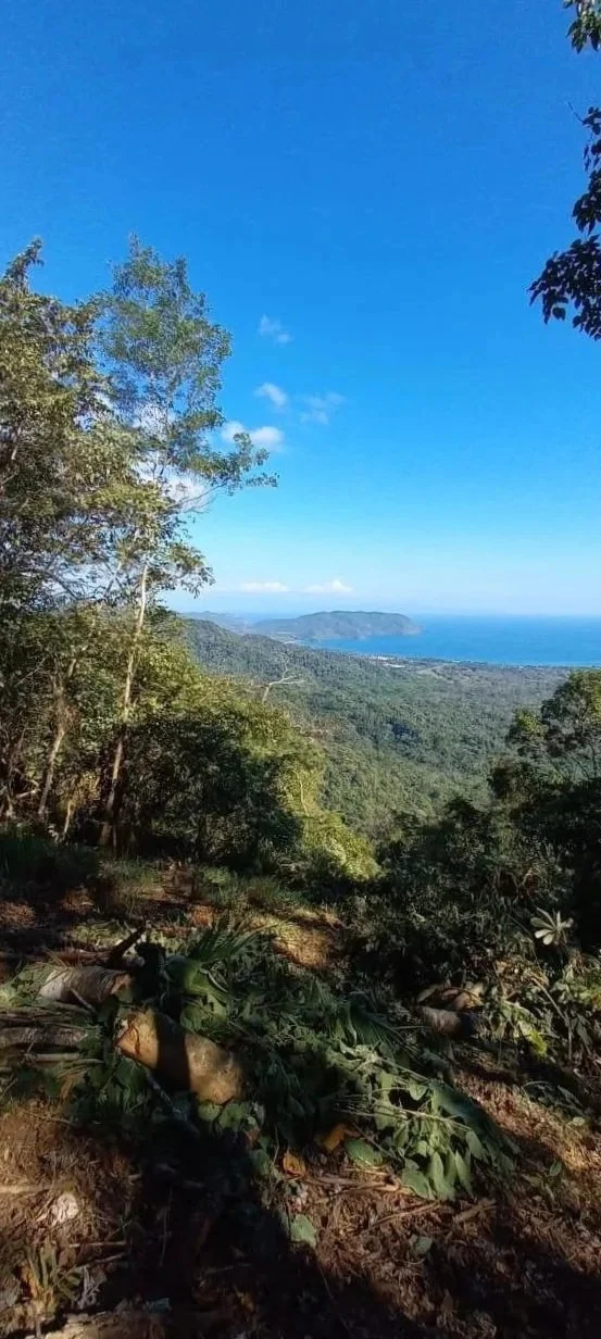 58 hectares: Ocean View Development Land for Sale in Tambor Costa Rica – 58 Hectares on the Nicoya Peninsula - Gallery image 3