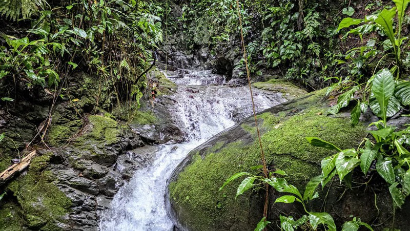 Waterfall Estate, Dos Bocas, Dominical Featuring Twin Waterfalls, Springs, Creeks & Rivers - Gallery image 27