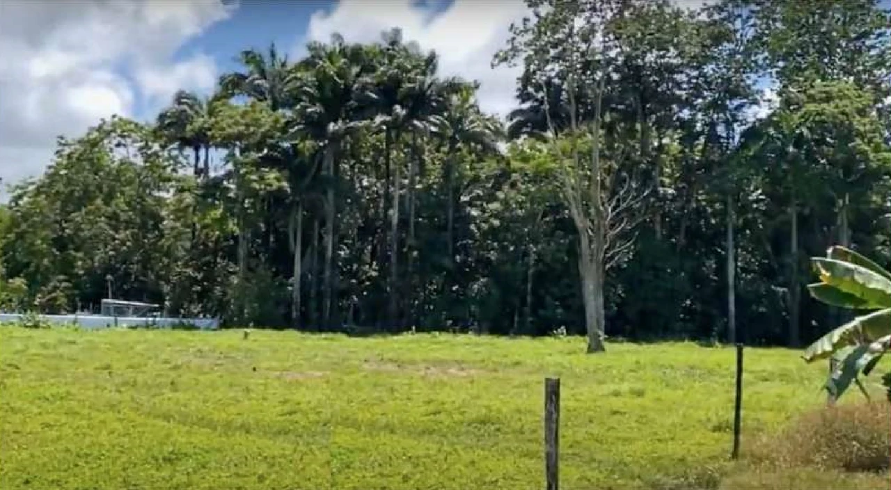 Westfalia, Matama: Countryside and Near the Coast Home Construction Site For Sale in Beverley - Gallery image 9
