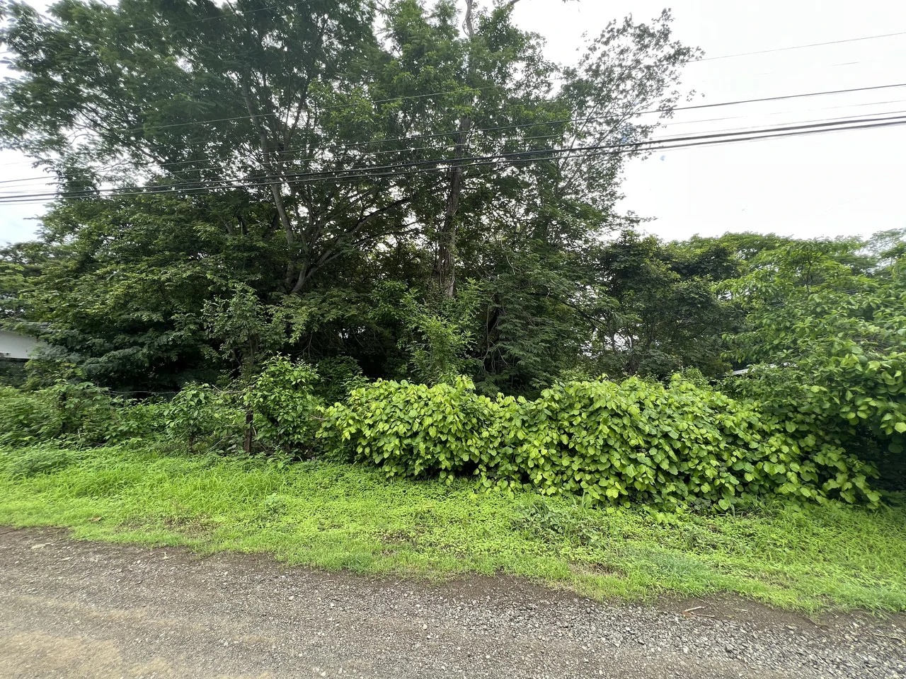 Surfside Lot F15:  5-minute walk to the beach in Playa Potrero - Gallery image 2