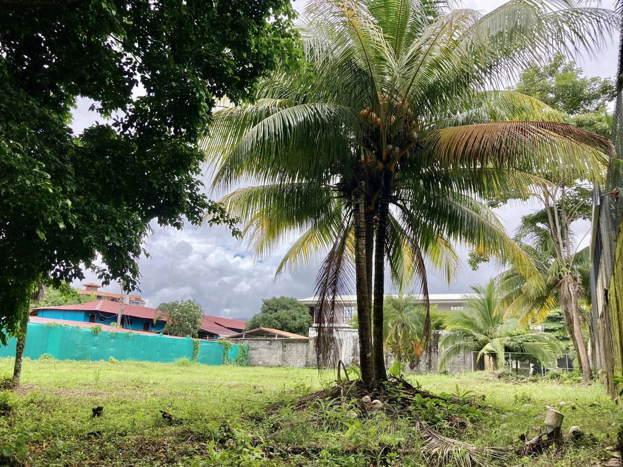 Beautiful Lot a few meters from the beach Property for Sale: 1,103 m² Lot in Playa Jaco, Costa Rica - Gallery image 13