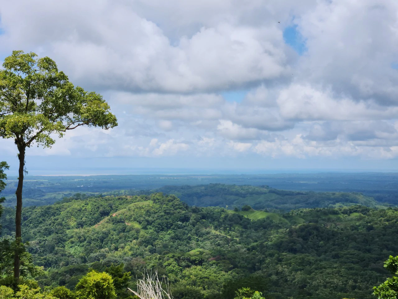 PRIME PARRITA FARM FOR SALE - Gallery image 33