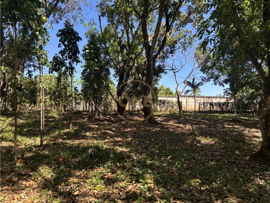 FOR SALE / Land in Coyolar, Orotina, Alajuela - photo 2