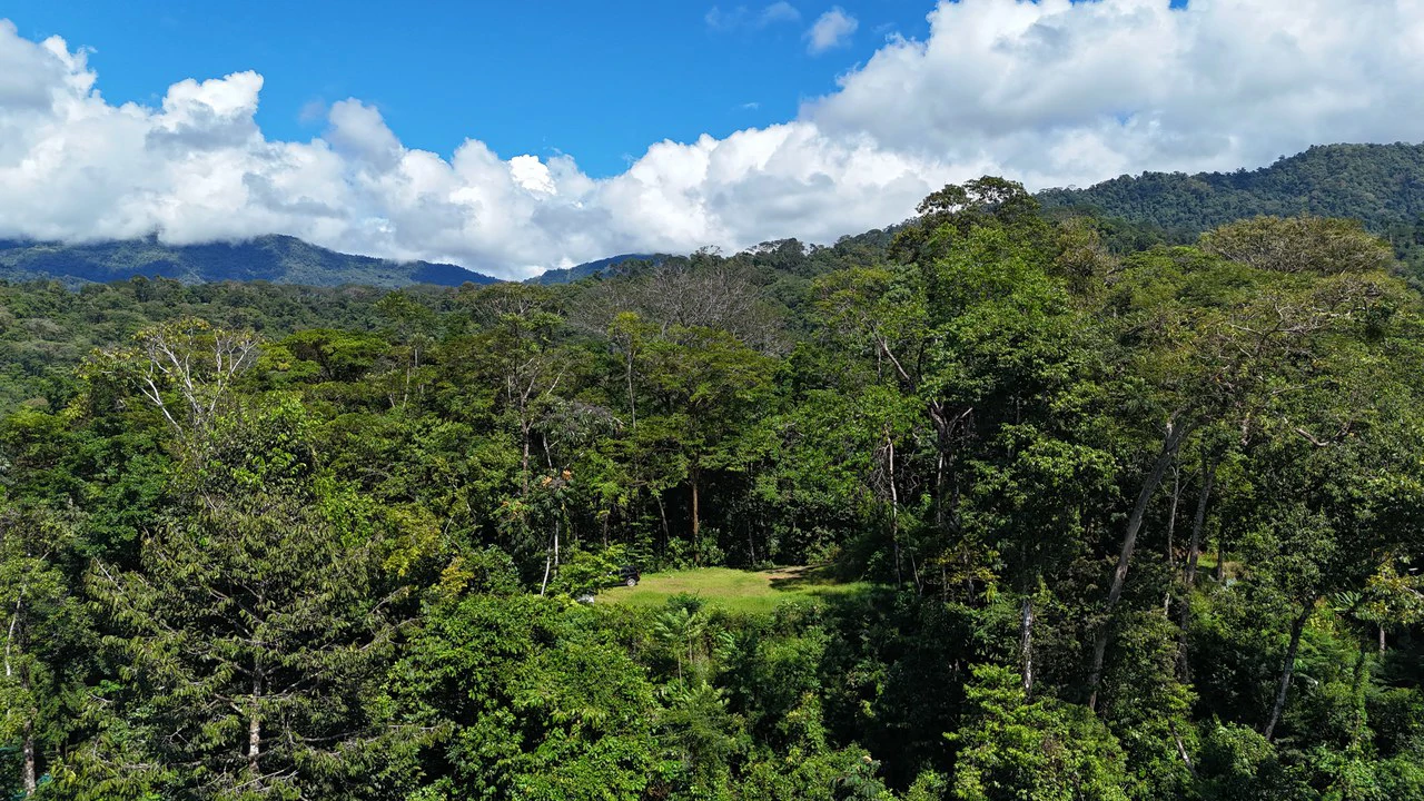 1.7 Acres Ocean View Lot with Producing Cabin in Uvita - Gallery image 5