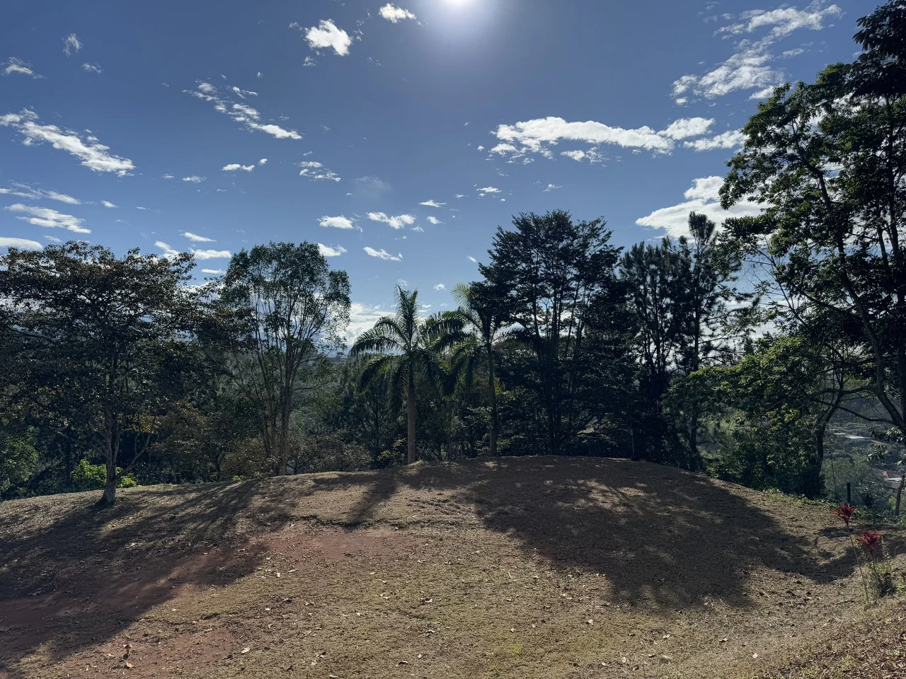 Stunning 2.4 Acre Property in Quebradas San Isidro del General - Gallery image 19