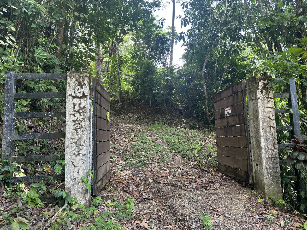Ocean View Estate Lot with Private Waterfall – Uvita - Gallery image 25