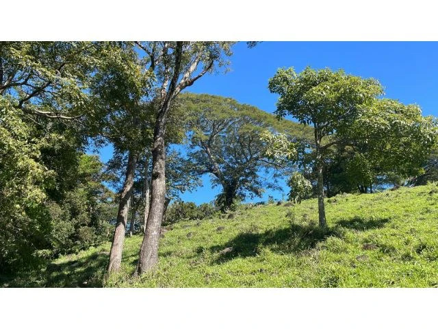 Nature Paradise Farm for sale in the mountains of Quebrada Grande, Building potential property 30 minutes away from Liberia - Gallery image 5
