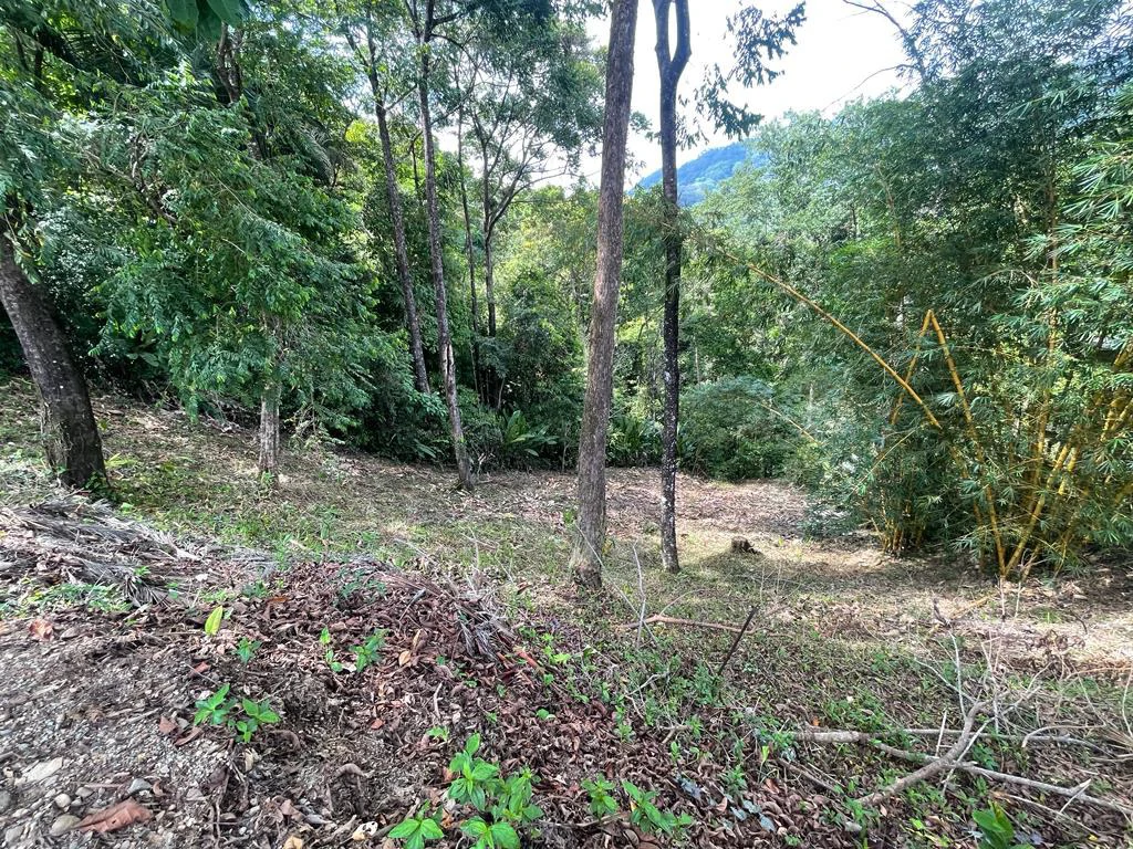 The Last Building Site Available In the Gated Canto Del Mar Community Close To The Beach - Gallery image 6