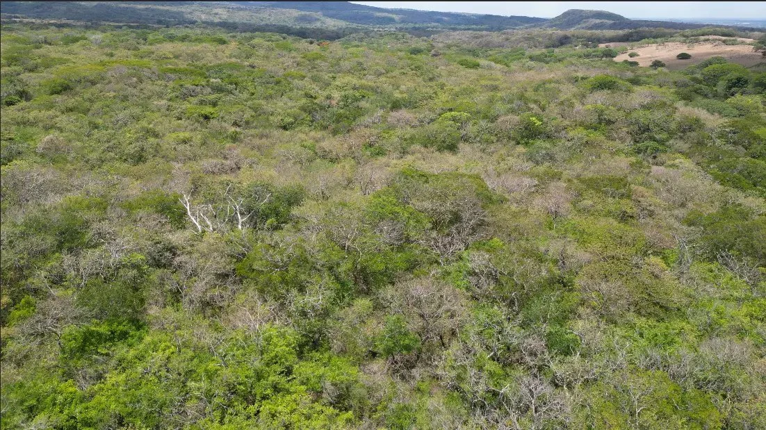 Land for Sale in Liberia, Guanacaste - Gallery image 8