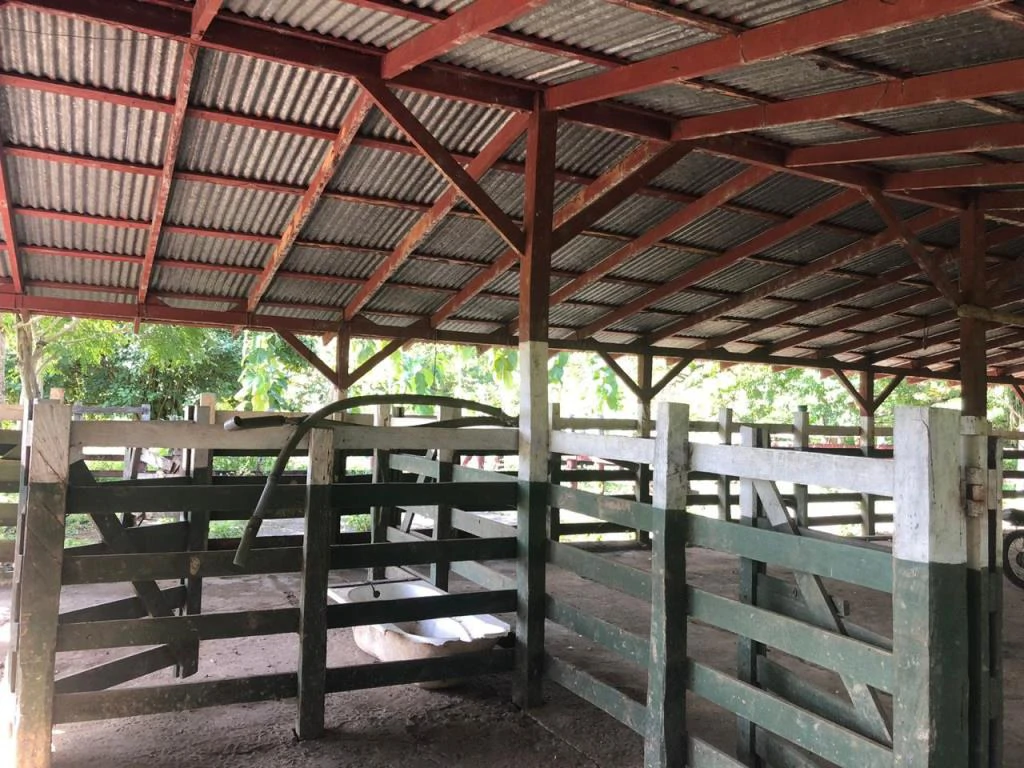 Teak Farm for Sale with a Hacienda Villa and 3 houses in La Cruz, 1 hour away from Liberia - Gallery image 16